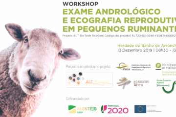 Workshop Exame Andrológico e Ecografia Reprodutiva em Pequenos Ruminantes
